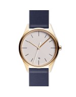 C36 date watch in PVD satin gold